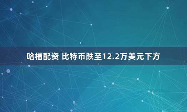 哈福配资 比特币跌至12.2万美元下方